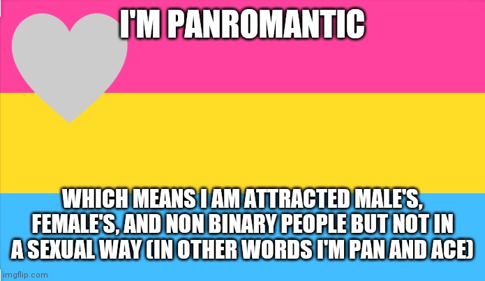 This is my sexuality | I'M PANROMANTIC; WHICH MEANS I AM ATTRACTED MALE'S, FEMALE'S, AND NON BINARY PEOPLE BUT NOT IN A SEXUAL WAY (IN OTHER WORDS I'M PAN AND ACE) | image tagged in memes,lgbtq,lol,idk | made w/ Imgflip meme maker