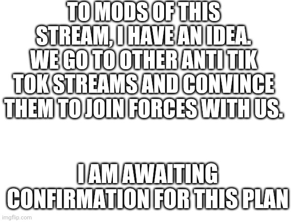 Blank White Template | TO MODS OF THIS STREAM, I HAVE AN IDEA.
WE GO TO OTHER ANTI TIK TOK STREAMS AND CONVINCE THEM TO JOIN FORCES WITH US. I AM AWAITING CONFIRMATION FOR THIS PLAN | image tagged in blank white template,tiktok,tik tok | made w/ Imgflip meme maker