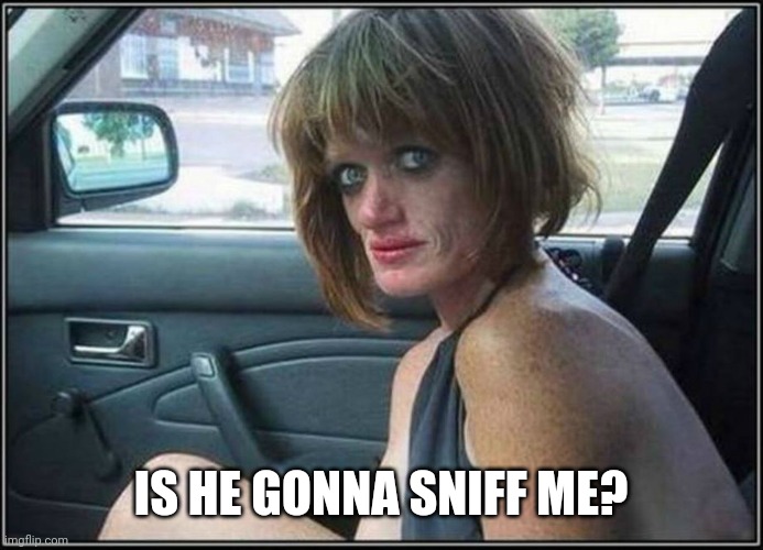 Ugly meth heroin addict Prostitute hoe in car | IS HE GONNA SNIFF ME? | image tagged in ugly meth heroin addict prostitute hoe in car | made w/ Imgflip meme maker