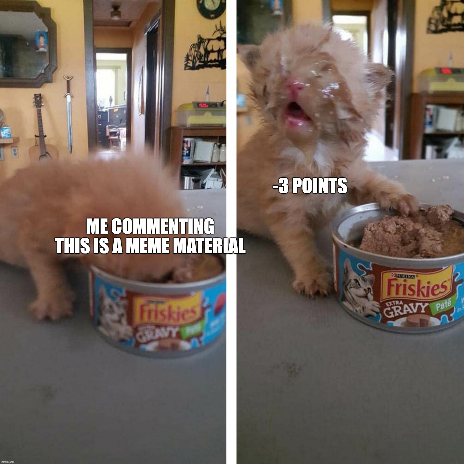 cat food meme face