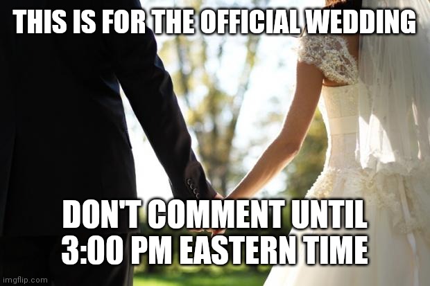 wedding | THIS IS FOR THE OFFICIAL WEDDING; DON'T COMMENT UNTIL 3:00 PM EASTERN TIME | image tagged in wedding | made w/ Imgflip meme maker