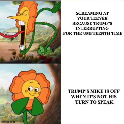Shut up, Trump | SCREAMING AT 
YOUR TEEVEE 
BECAUSE TRUMP'S 
INTERRUPTING 
FOR THE UMPTEENTH TIME; TRUMP'S MIKE IS OFF 
WHEN IT'S NOT HIS 
TURN TO SPEAK | image tagged in cuphead flower | made w/ Imgflip meme maker