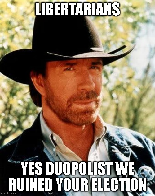 Chuck Norris | LIBERTARIANS; YES DUOPOLIST WE RUINED YOUR ELECTION | image tagged in memes,chuck norris | made w/ Imgflip meme maker