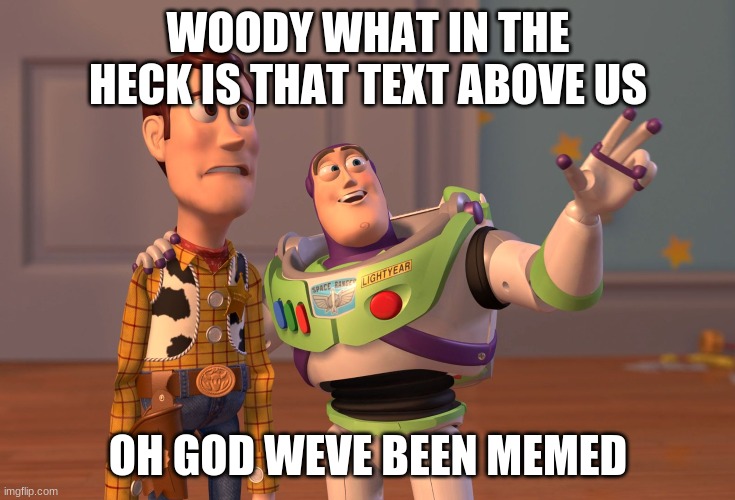 X, X Everywhere | WOODY WHAT IN THE HECK IS THAT TEXT ABOVE US; OH GOD WEVE BEEN MEMED | image tagged in memes,x x everywhere | made w/ Imgflip meme maker