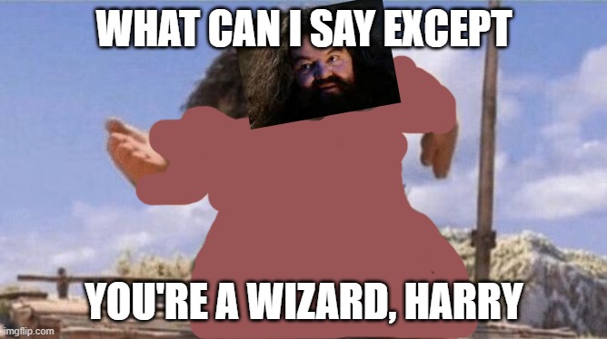 What Can I Say Except X? | WHAT CAN I SAY EXCEPT; YOU'RE A WIZARD, HARRY | image tagged in what can i say except x | made w/ Imgflip meme maker