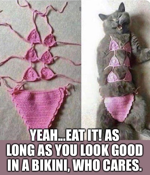 YEAH...EAT IT! AS LONG AS YOU LOOK GOOD IN A BIKINI, WHO CARES. | made w/ Imgflip meme maker