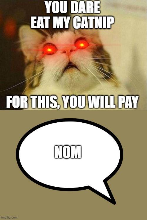 Scared Cat Meme | YOU DARE EAT MY CATNIP; FOR THIS, YOU WILL PAY; NOM | image tagged in memes,scared cat | made w/ Imgflip meme maker
