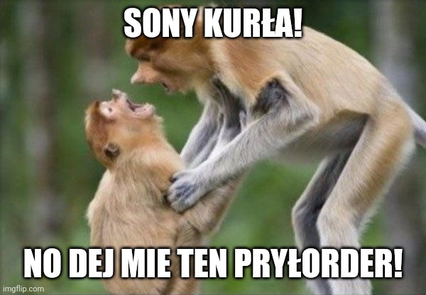 nosacz | SONY KURŁA! NO DEJ MIE TEN PRYŁORDER! | image tagged in nosacz | made w/ Imgflip meme maker