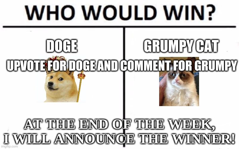 THE QUESTION WE ALL ARE ASKING! | DOGE; GRUMPY CAT; UPVOTE FOR DOGE AND COMMENT FOR GRUMPY; AT THE END OF THE WEEK, I WILL ANNOUNCE THE WINNER! | image tagged in memes,who would win | made w/ Imgflip meme maker