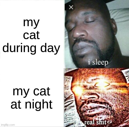 Sleeping Shaq | my cat during day; my cat at night | image tagged in memes,sleeping shaq,cats | made w/ Imgflip meme maker