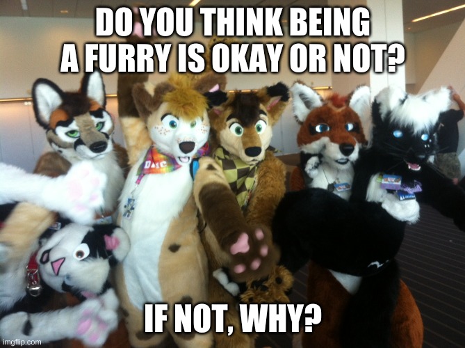 I think furries are ok and the way they're getting harassed for it is horrible. | DO YOU THINK BEING A FURRY IS OKAY OR NOT? IF NOT, WHY? | image tagged in furries | made w/ Imgflip meme maker
