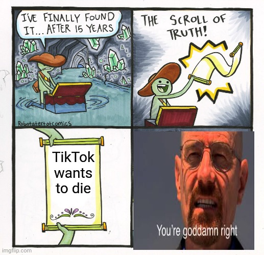 The Scroll Of Truth Meme | TikTok wants to die | image tagged in memes,the scroll of truth | made w/ Imgflip meme maker