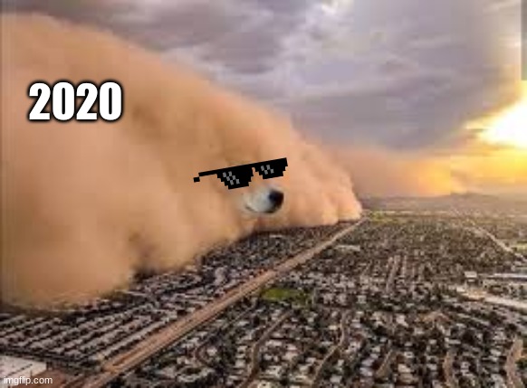 2020 be like | 2020 | image tagged in dog sandstorm,2020 | made w/ Imgflip meme maker