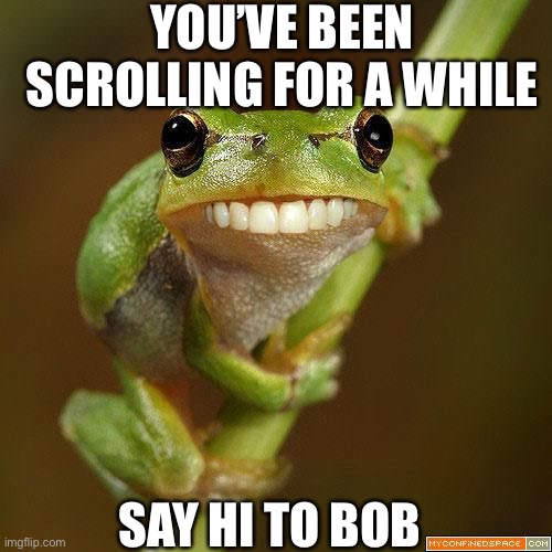 Stop right there | YOU’VE BEEN SCROLLING FOR A WHILE; SAY HI TO BOB | image tagged in frog | made w/ Imgflip meme maker