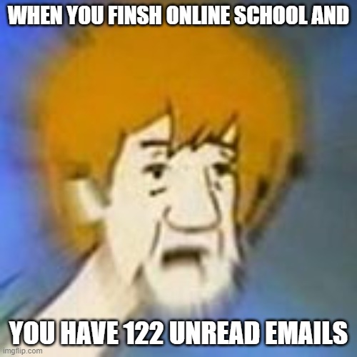 shaggy u slackin my guy | WHEN YOU FINSH ONLINE SCHOOL AND; YOU HAVE 122 UNREAD EMAILS | image tagged in shaggy,school,homework | made w/ Imgflip meme maker