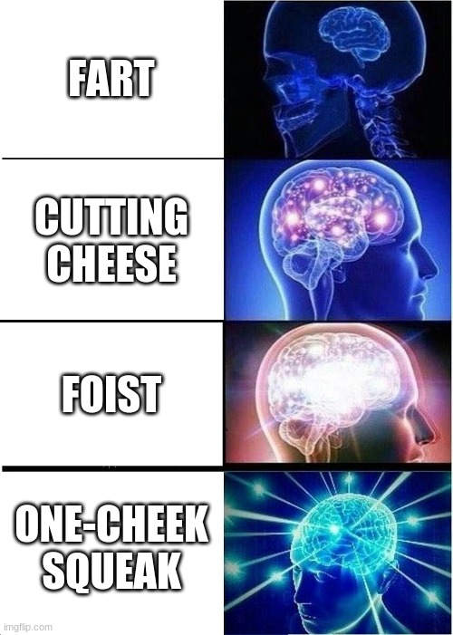 Fart; The Fanciness |  FART; CUTTING CHEESE; FOIST; ONE-CHEEK SQUEAK | image tagged in memes,expanding brain | made w/ Imgflip meme maker