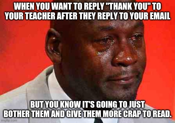 crying michael jordan | WHEN YOU WANT TO REPLY "THANK YOU" TO YOUR TEACHER AFTER THEY REPLY TO YOUR EMAIL; BUT YOU KNOW IT'S GOING TO JUST BOTHER THEM AND GIVE THEM MORE CRAP TO READ. | image tagged in crying michael jordan | made w/ Imgflip meme maker