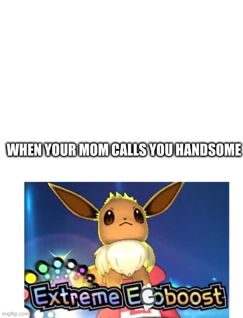 WHEN YOUR MOM CALLS YOU HANDSOME | image tagged in blank white template | made w/ Imgflip meme maker