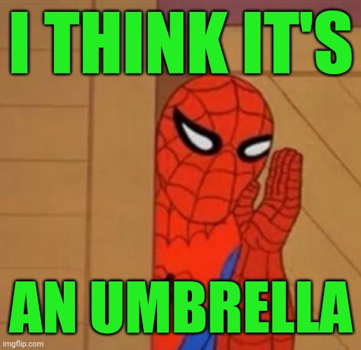 Spider-Man Whisper | I THINK IT'S AN UMBRELLA | image tagged in spider-man whisper | made w/ Imgflip meme maker