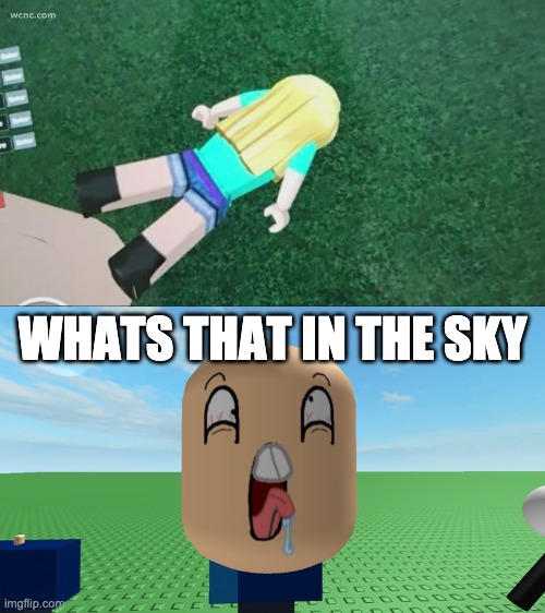 Roblox, "Whats in the sky?" | WHATS THAT IN THE SKY | image tagged in roblox noob,disgusting,dead,goofy,silly | made w/ Imgflip meme maker