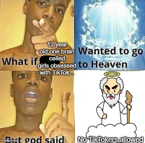 What if you wanted to go to Heaven | 12 year old one brain celled girls obsessed with TikTok... No TikTokers allowed | image tagged in what if you wanted to go to heaven | made w/ Imgflip meme maker