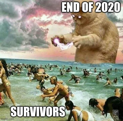 meow | END OF 2020; SURVIVORS | image tagged in giant cat on beach | made w/ Imgflip meme maker