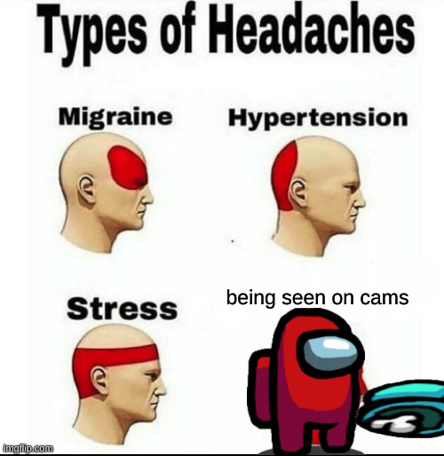 Types of Headaches meme | being seen on cams | image tagged in types of headaches meme | made w/ Imgflip meme maker