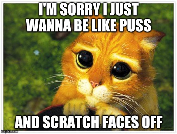 Sorry Kitty | I'M SORRY I JUST WANNA BE LIKE PUSS; AND SCRATCH FACES OFF | image tagged in sorry kitty | made w/ Imgflip meme maker