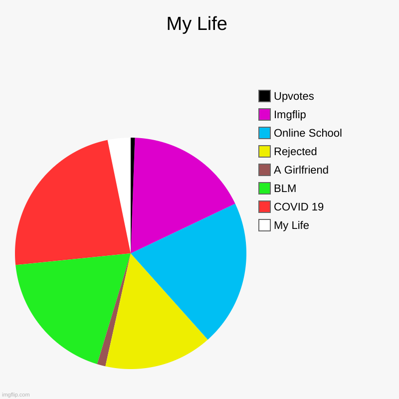 My Life During 2020 | My Life | My Life, COVID 19, BLM, A Girlfriend, Rejected, Online School, Imgflip, Upvotes | image tagged in charts,pie charts | made w/ Imgflip chart maker