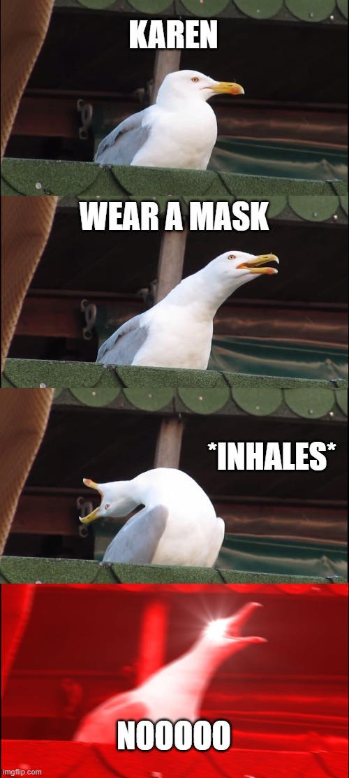 Inhaling Seagull | KAREN; WEAR A MASK; *INHALES*; NOOOOO | image tagged in memes,inhaling seagull | made w/ Imgflip meme maker