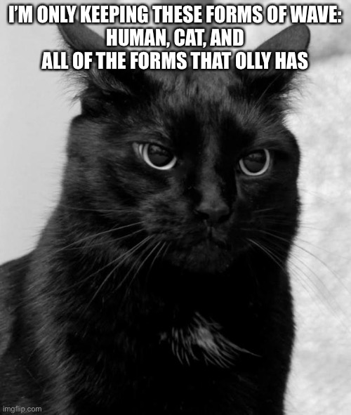 B | I’M ONLY KEEPING THESE FORMS OF WAVE:
HUMAN, CAT, AND ALL OF THE FORMS THAT OLLY HAS | made w/ Imgflip meme maker