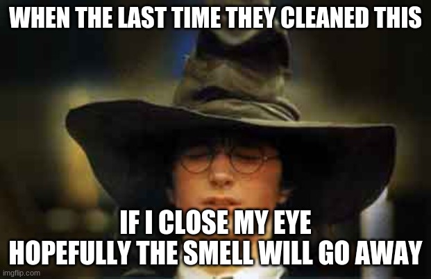 Harry Potter sorting hat | WHEN THE LAST TIME THEY CLEANED THIS; IF I CLOSE MY EYE HOPEFULLY THE SMELL WILL GO AWAY | image tagged in harry potter sorting hat | made w/ Imgflip meme maker