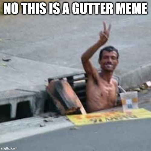 gutter1 | NO THIS IS A GUTTER MEME | image tagged in gutter1 | made w/ Imgflip meme maker