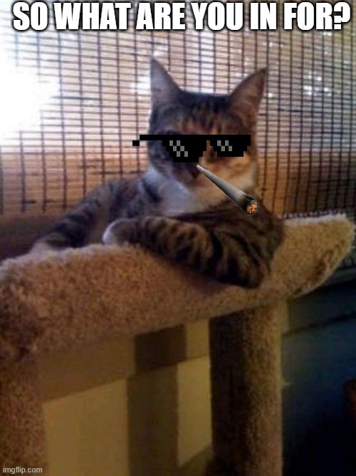 The Most Interesting Cat In The World | SO WHAT ARE YOU IN FOR? | image tagged in memes,the most interesting cat in the world | made w/ Imgflip meme maker