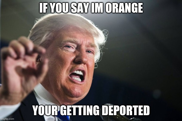 donald trump | IF YOU SAY IM ORANGE; YOUR GETTING DEPORTED | image tagged in donald trump | made w/ Imgflip meme maker