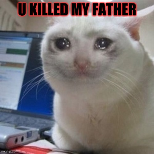 Crying cat | U KILLED MY FATHER | image tagged in crying cat | made w/ Imgflip meme maker