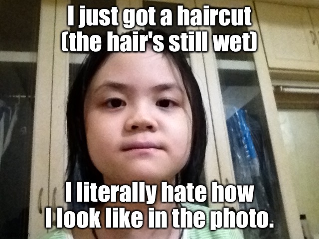 Yes | I just got a haircut (the hair's still wet); I literally hate how I look like in the photo. | image tagged in tag | made w/ Imgflip meme maker
