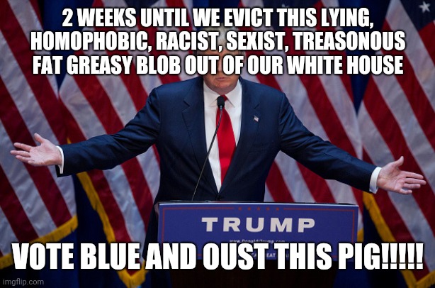 Blue Wave | 2 WEEKS UNTIL WE EVICT THIS LYING, HOMOPHOBIC, RACIST, SEXIST, TREASONOUS FAT GREASY BLOB OUT OF OUR WHITE HOUSE; VOTE BLUE AND OUST THIS PIG!!!!! | image tagged in donald trump | made w/ Imgflip meme maker