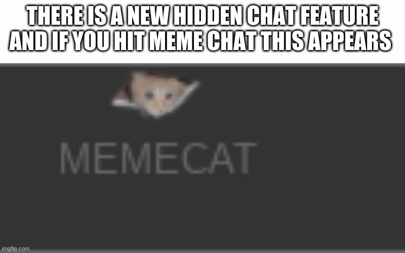 Meme chat secret |  THERE IS A NEW HIDDEN CHAT FEATURE AND IF YOU HIT MEME CHAT THIS APPEARS | made w/ Imgflip meme maker