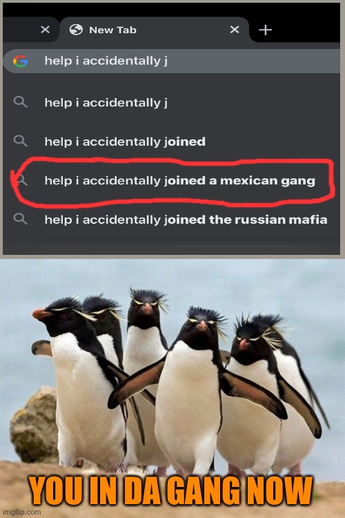 Penguin Gang Meme | YOU IN DA GANG NOW | image tagged in memes,penguin gang | made w/ Imgflip meme maker
