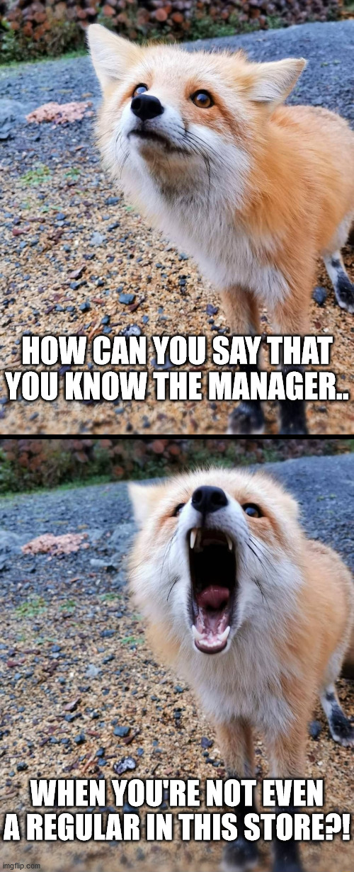 When a Karen says that they know the Manager | HOW CAN YOU SAY THAT YOU KNOW THE MANAGER.. WHEN YOU'RE NOT EVEN A REGULAR IN THIS STORE?! | image tagged in how can you x,karen | made w/ Imgflip meme maker