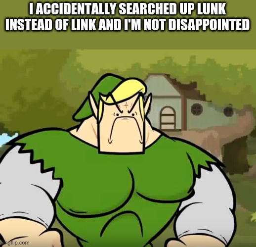 Lunk | I ACCIDENTALLY SEARCHED UP LUNK INSTEAD OF LINK AND I'M NOT DISAPPOINTED | image tagged in lunk,legend of zelda | made w/ Imgflip meme maker