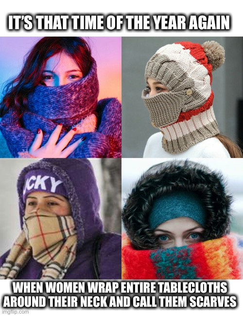And it’s not even really cold yet | IT’S THAT TIME OF THE YEAR AGAIN; WHEN WOMEN WRAP ENTIRE TABLECLOTHS AROUND THEIR NECK AND CALL THEM SCARVES | image tagged in women with scarves,wrapped up,winter is coming,cold,tablecloth,memes | made w/ Imgflip meme maker