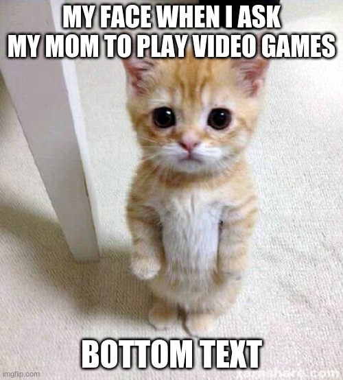 Cute Cat | MY FACE WHEN I ASK MY MOM TO PLAY VIDEO GAMES; BOTTOM TEXT | image tagged in memes,cute cat | made w/ Imgflip meme maker