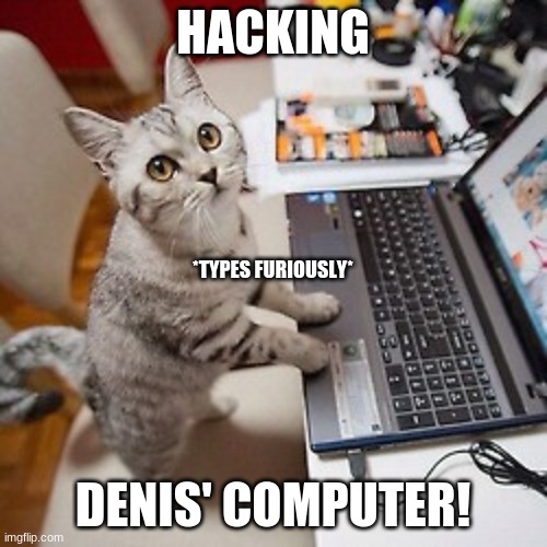Computer Cat | HACKING DENIS' COMPUTER! *TYPES FURIOUSLY* | image tagged in computer cat | made w/ Imgflip meme maker