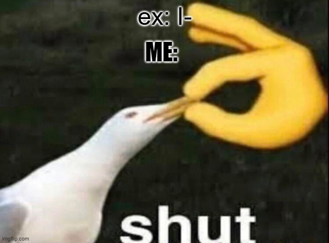 SHUT | ex: I-; ME: | image tagged in shut | made w/ Imgflip meme maker