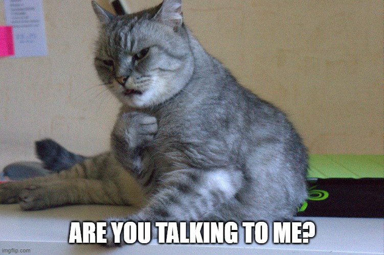 cat | ARE YOU TALKING TO ME? | image tagged in cats,grumpy cat | made w/ Imgflip meme maker