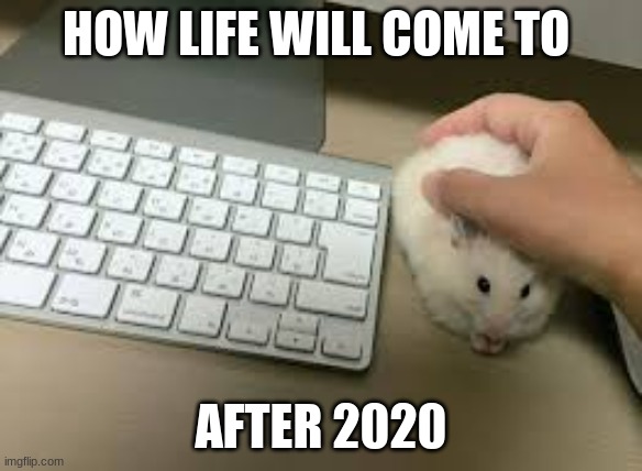 2020 | HOW LIFE WILL COME TO; AFTER 2020 | image tagged in 2020 sucks | made w/ Imgflip meme maker