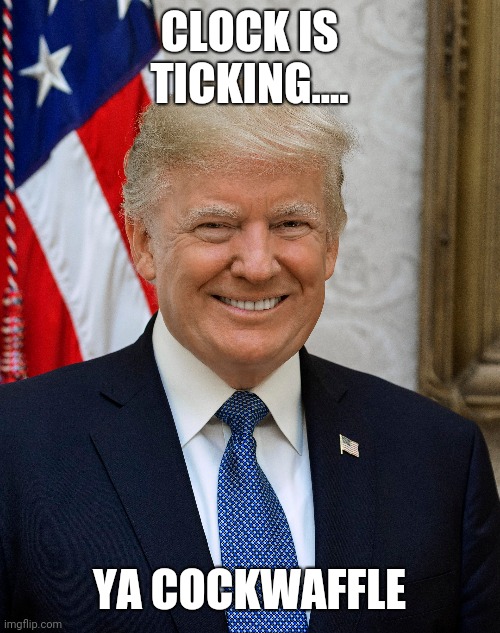 Loser | CLOCK IS TICKING.... YA COCKWAFFLE | image tagged in donald trump is an idiot | made w/ Imgflip meme maker