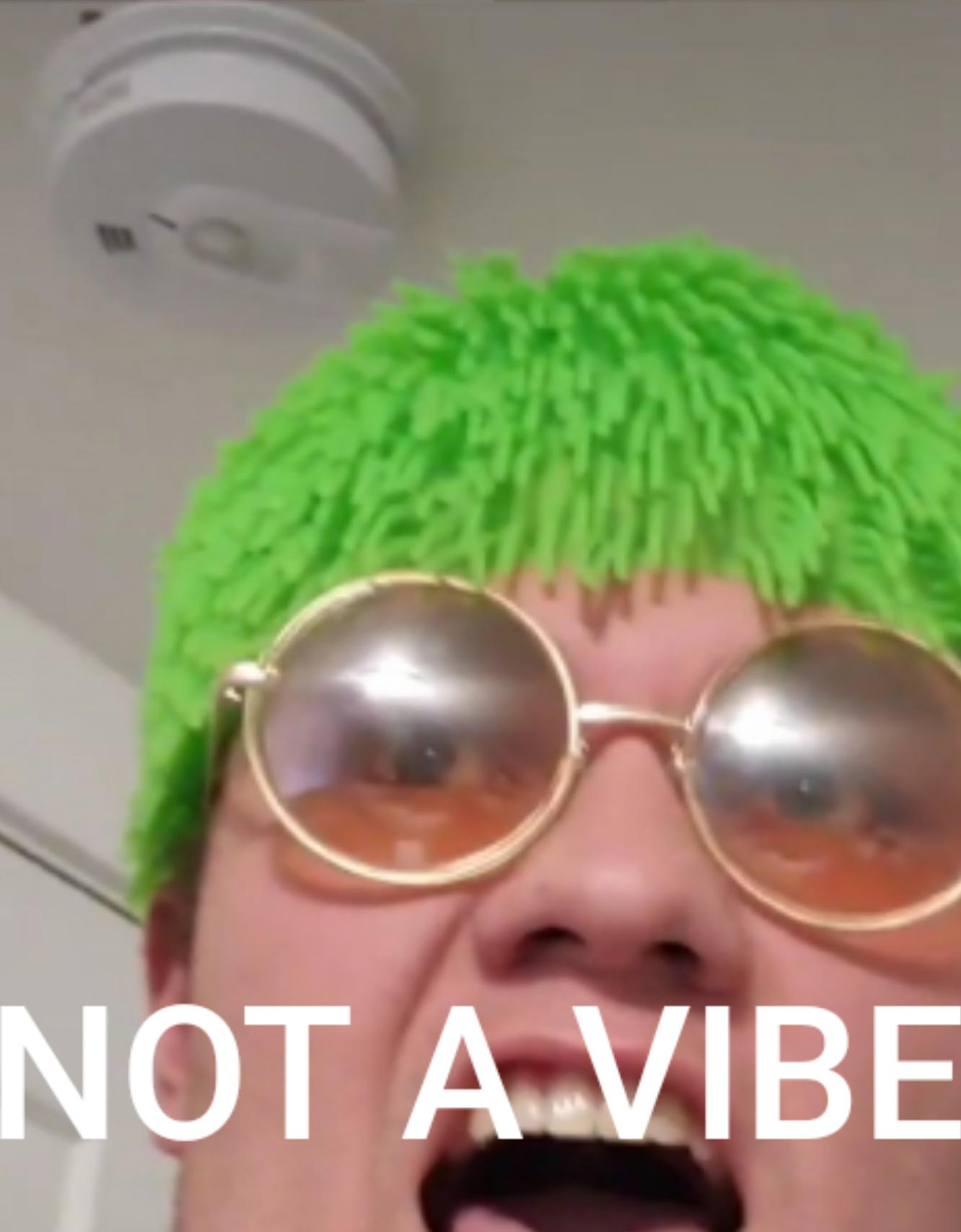 High Quality NOT A VIBE Blank Meme Template